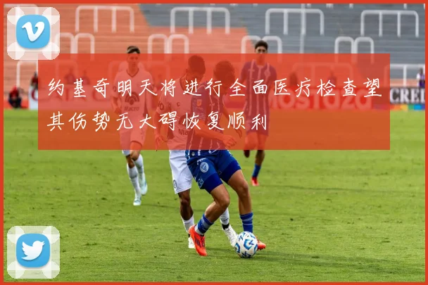 约基奇明天将进行全面医疗检查望其伤势无大碍恢复顺利