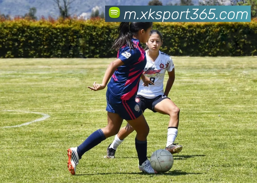 星空娱乐发展历程